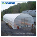 Poly Film Green House barato